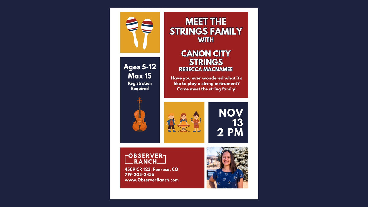 Meet the Strings Family flyer, Cañon City Strings with Rebecca MacNamee, Nov 13 at 2 PM
