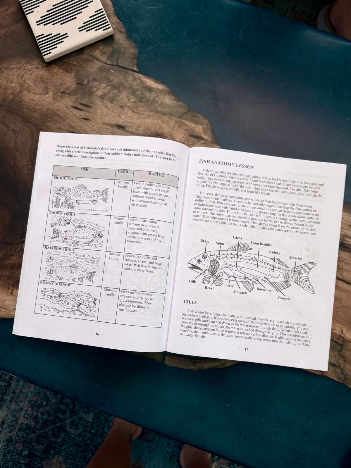 Wild and Wonderful Arkansas River book