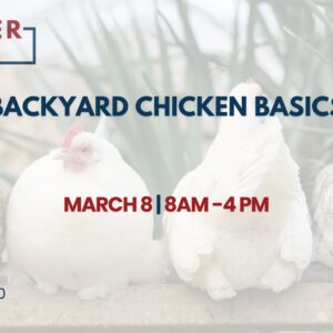 3/8/25 Trailblazers Backyard Chicken Basics