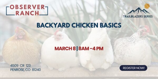 3/8/25 Trailblazers Backyard Chicken Basics